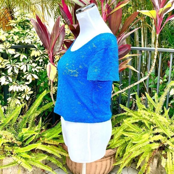 Express Blue Lace Cropped Tee - Picture 3 of 7